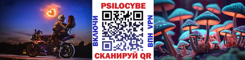 Псилоцибиновые грибы GOLDEN TEACHER  наркота  Юрьев-Польский 