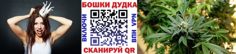 купить наркоту  Юрьев-Польский  Бошки Шишки сатива 
